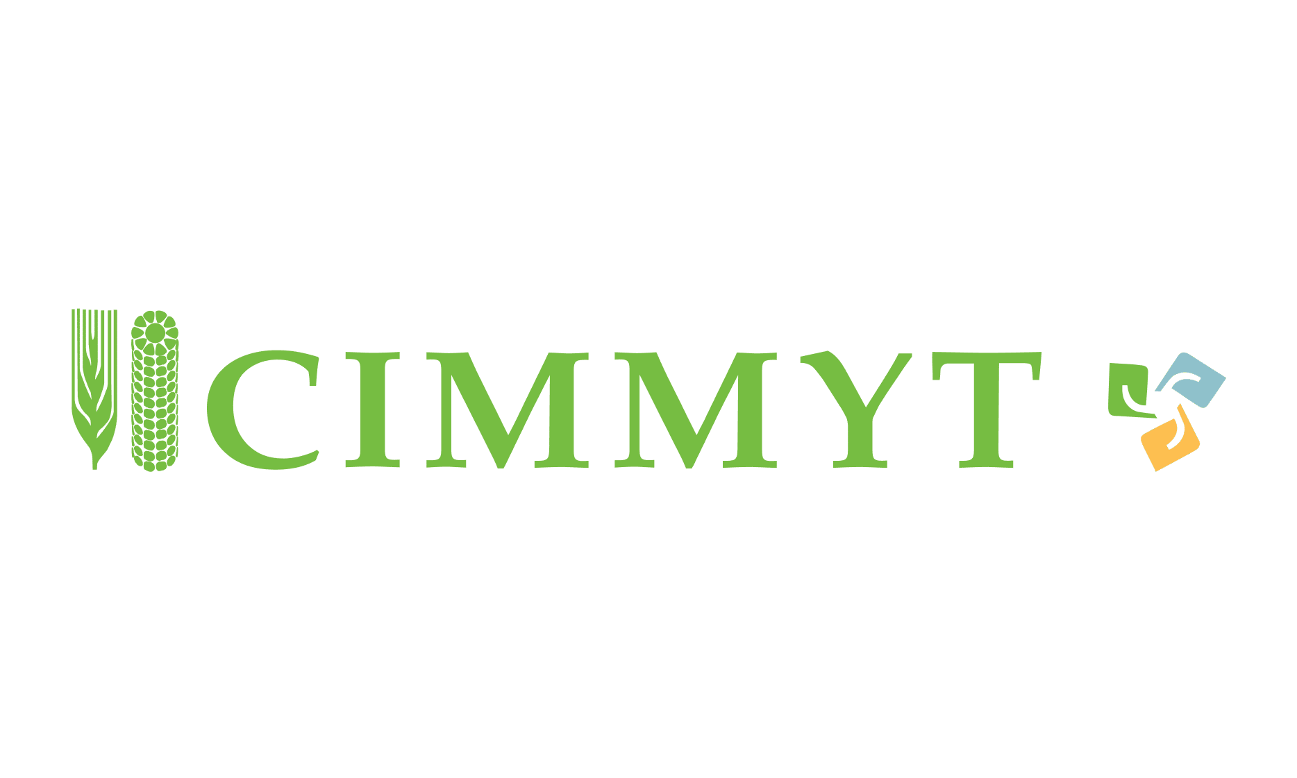 CIMMYT