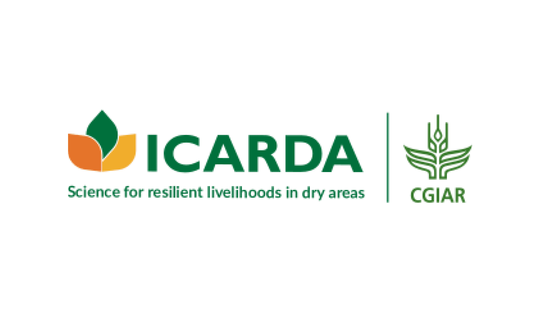 ICARDA